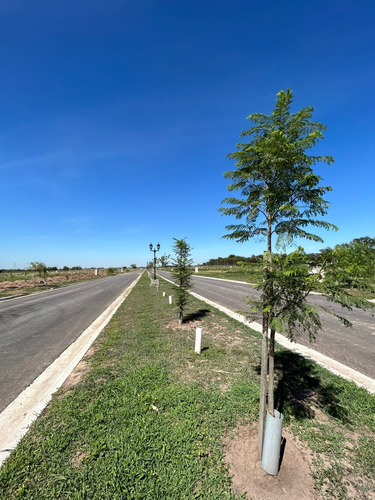 Imagen 4 de 19 de Lotes En Venta Barrio Cerrado San Fermin En Pontevedra
