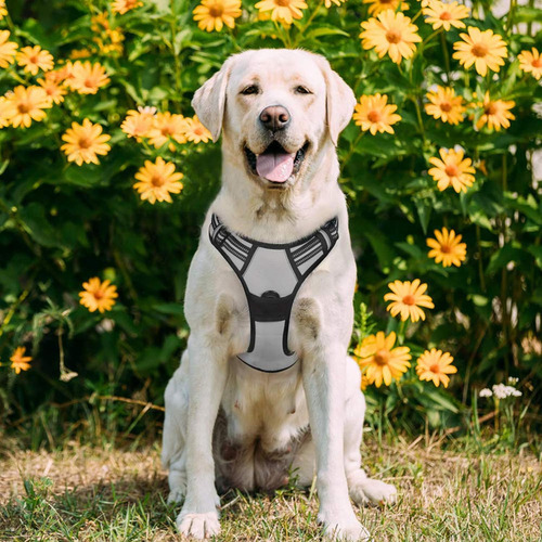 Arnés Para Perro Rabbitgoo, Antitirones, Ajustable, Talla L