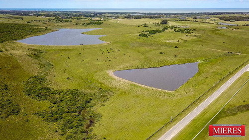 Quinta En Venta En Jose Ignacio