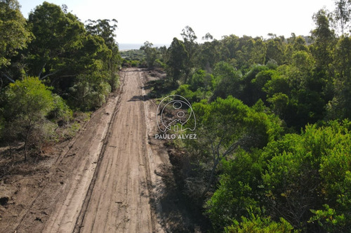 Imagen 7 de 7 de Terrenos Venta Playa Verde