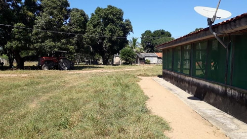 Imagem 1 de 17 de Fazenda - Área Rural A Venda Em Barão De Melgaço - Mt - Fa0191