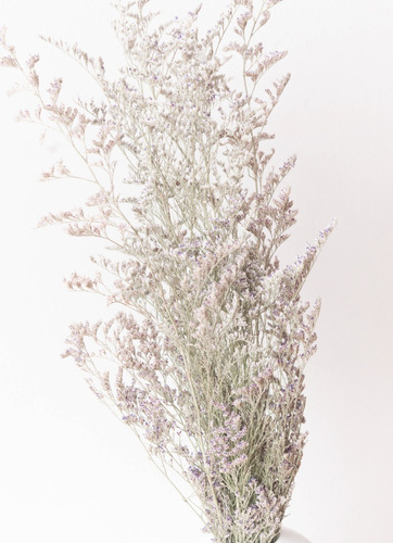 Ramo Caspia - Ramo Flores Secas - Flores Secas Decoración