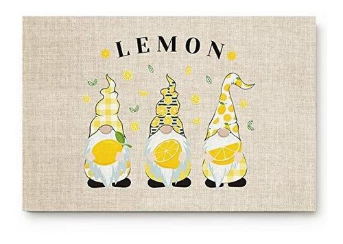 Entrada Frontal Interior Felpudos Summer Gnome   Lemon ...