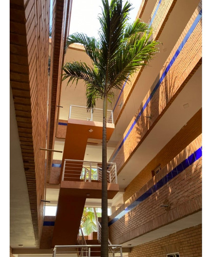 Disfruta De La Vida Costera Con Este Apartamento Amoblado En La Playa