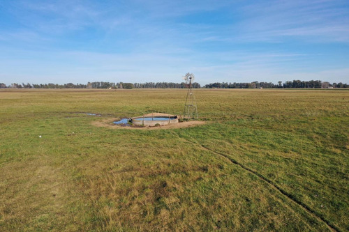 Imagen 8 de 9 de Campo De 77 Has En Venta En Uribelarrea, Cañuelas