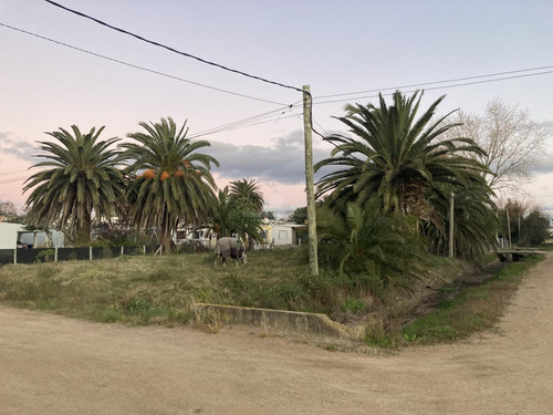 Terreno En Soca