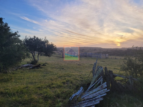 Imagen 25 de 26 de 70 Hectáreas De Campo Ganadero Corte De La Leña