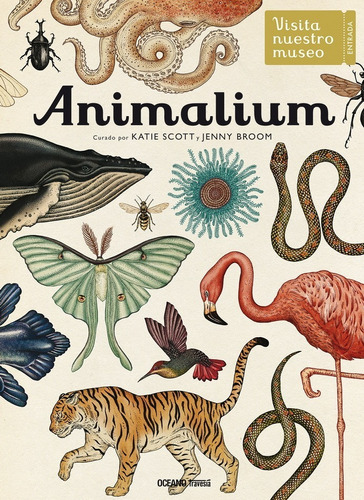 Libro: Animalium