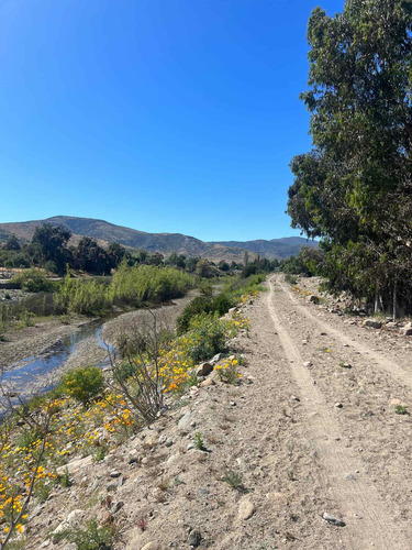 Terreno Punitaqui, Ovalle