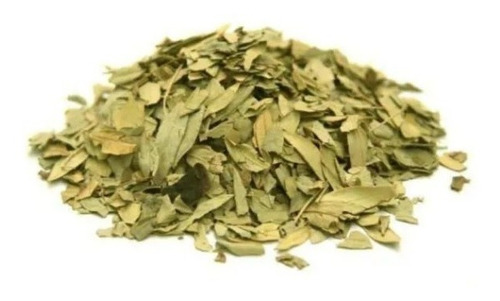 Chá Sene Folhas 100% - 1 Kg ( Cassia Angustifolia )