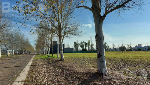 Imagen 11 de 11 de Venta Terreno En Pinares Del Sur - Oportunidad
