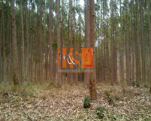 Imagem 5 de 18 de Fazenda - Fa00001 - 69800283