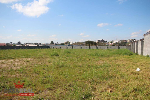 Imagem 12 de 22 de Terreno Industrial À Venda, Novo Mundo, Curitiba - Te0029. - Te0029