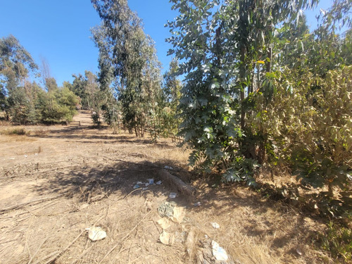 Sitio Urbanizado En Condominio Maintencillo