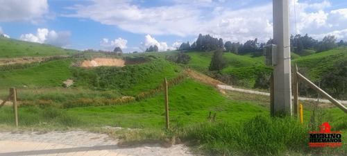 Terreno En Venta En San Felix. Cod V5801