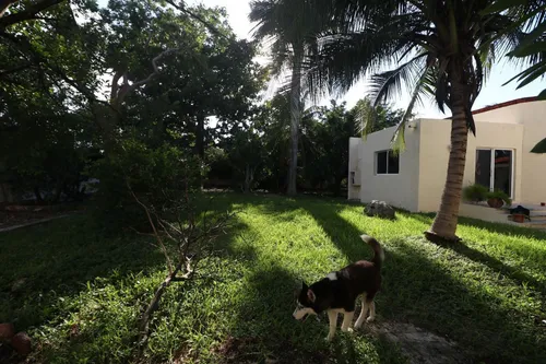 Residencia Con Paneles Solares, En Venta, En Temozón Norte