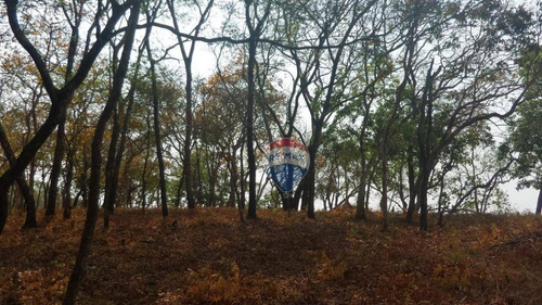 Imagem 18 de 22 de Chácara Á Venda - Várzea Grande-mt - Ch0009