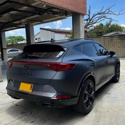 Cupra formentor 2.0 Tsi Mate Dsg