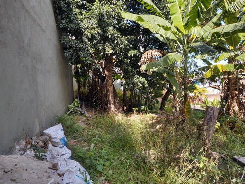 Imagem 6 de 7 de Terreno Plano Com 400m2 (faz Frente A U.b.s Vila Moraes)