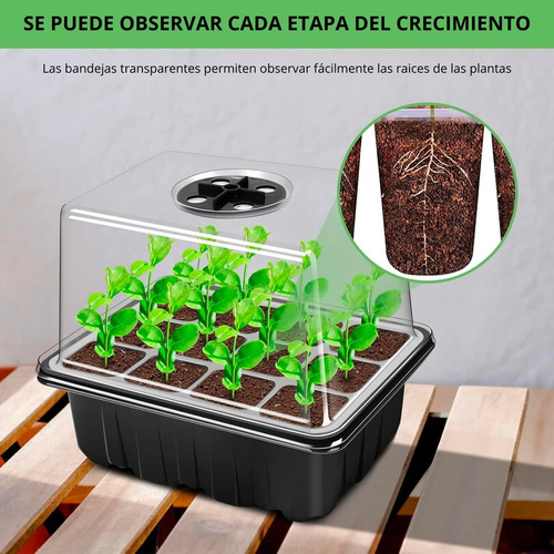 Conjunto De 10 Bandejas De Germinação De Sementes, Potes