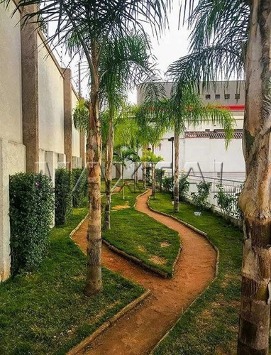 Imagem 6 de 15 de Apartamento , 2 Dorms À Venda, Vila Gustavo, 47 M² - Mi83959