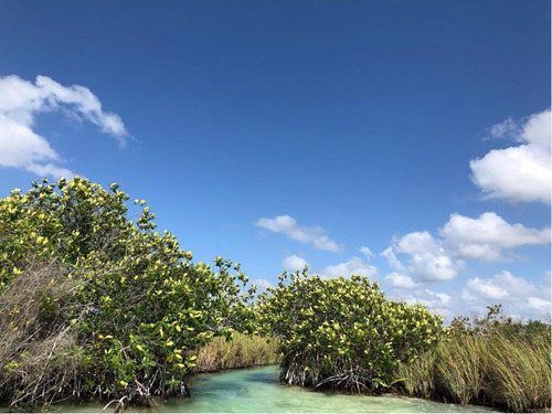 Terreno En Venta En Andres Quintana Roo