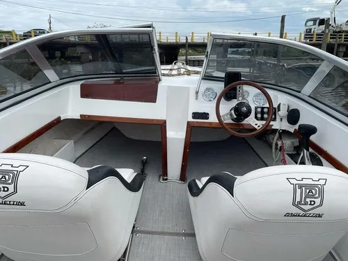 Paglietini Rs49 Mercury 90 Hp 4 Tiempos Año 2021