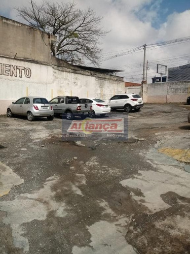 Terreno Residencial À Venda, Cidade Jardim Cumbica, Guarulhos - Te0269. - Ai7748