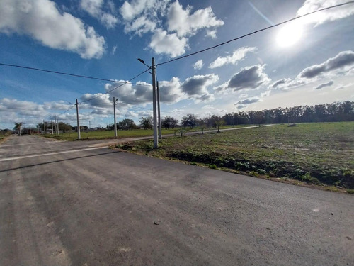 Venta Terreno Longchamps - Lote Barrio La Arbolada