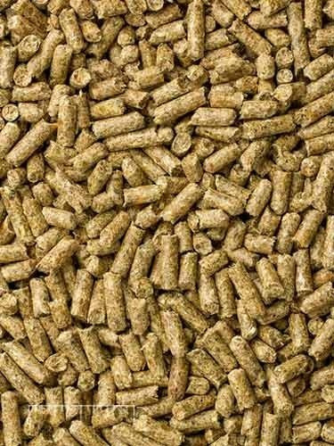 Alimento Para Hamster Y Cuyo Mazuri Guinea Pig 1.3 Kg