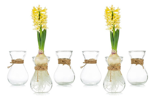 Vaso De Vidrio Transparente Glasseam Para Flores, Juego De J