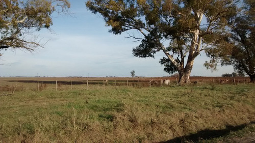 142 Hectareas Mixtas En Navarro