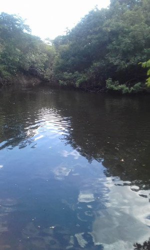 Imagen 7 de 15 de Hato En Venta En Elorza, Apure