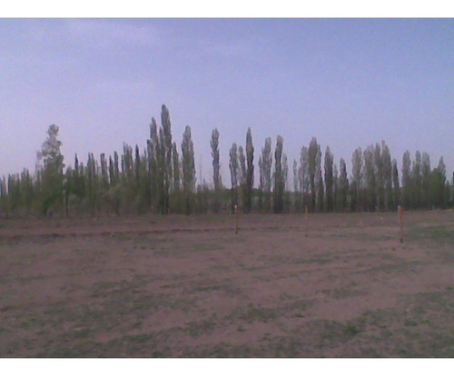 Imagen 10 de 15 de Terreno En Malargue Mendoza!
