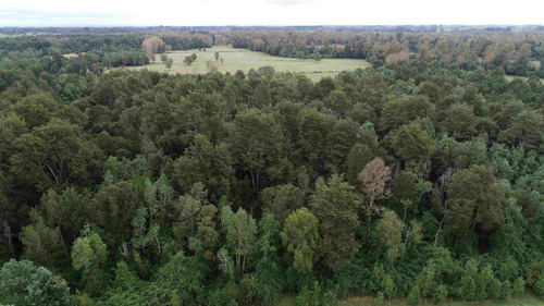Hermoso Campo A 15 Km De Osorno