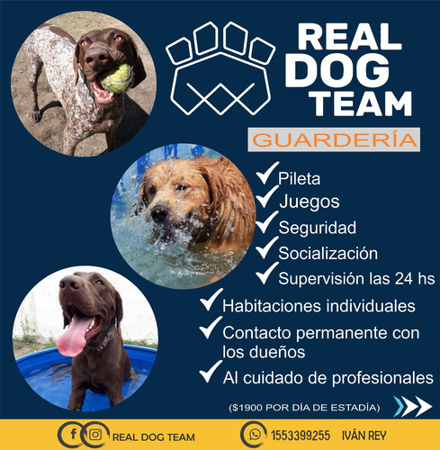 Imagen 4 de 10 de Adiestramiento Canino Zona Oeste