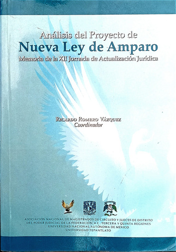 Análisis Del Proyecto De Nueva Ley De Amparo Ricardo Romero