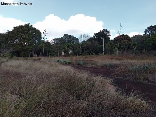 Imagem 24 de 30 de Terreno - A Venda - Valinhos - Te00313 - 69815166