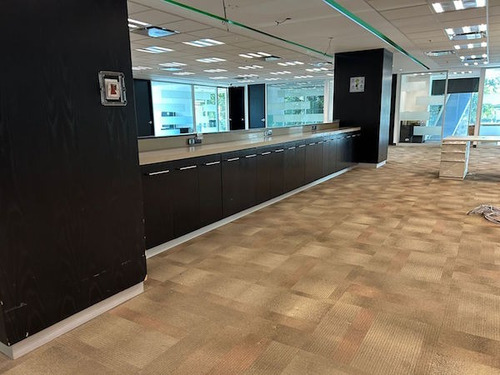 Oficina En Renta En Lomas De Chapultepec De 525 M² Lv113