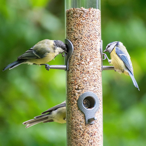 Comedero Metálico Para Pájaros Iborn, Colgador De Semillas P