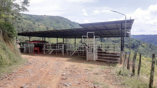 Imagen 8 de 21 de Vendo Finca Ganadera En Balboa Risaralda