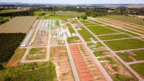 Imagem 8 de 14 de Terreno A Venda No Bairro Colônia Dona Luíza Em Ponta - 403-1