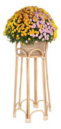 Soporte De Planta De Interior De Bucle De Ratán Kouboo, 26 P