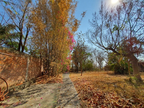 Imagen 16 de 30 de Terreno En Venta En Miacatlán