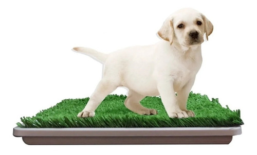 Bandeja Sanitaria Rejilla Mascota Cachorro Perro Ecologica