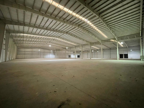 Imagen 27 de 30 de Fracción Industrial 26 Ha. Galpón 12.800 M² Cub. - Carlos Spegazzini