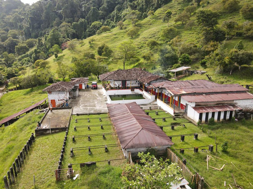 Se Vende Finca Barragán - Génova Quindío