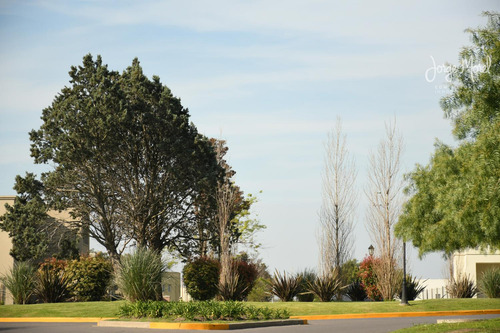 Lote Perimetral Bueno #200-300 - Pilar Del Este - Santa Elisa - 476m2 #id 18985