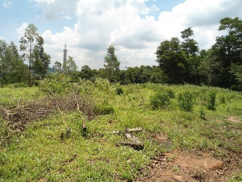 Imagem 2 de 5 de Vendo Área Na Estiva Em Louveira Com 50 Mil M² - Ar00024 - 2586754