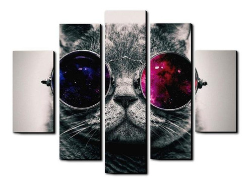 Cuadro Cool Cat 75 Cm X 60 Cm